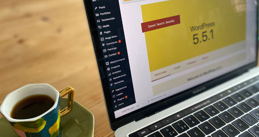 WordPress 5.5.1 Dashboard